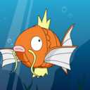 thewildmagikarp avatar