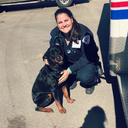 thewildthingsarenow avatar