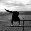 thewillshrooms avatar