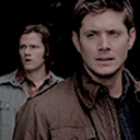 thewinchesterdaily avatar