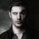 thewinchesterfandomers avatar