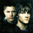 thewinchesters-blog avatar