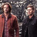 thewinchesters-stuff avatar