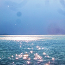 thewindishigh avatar