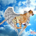 thewingedcheetahwolf avatar