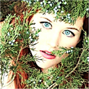 thewinterqueen avatar