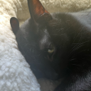 thewitchdoctor39 avatar