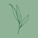 thewitchfarhan avatar