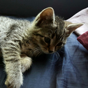 thewizardofgraz avatar