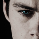 thewolfandherboy avatar