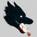 thewolfcatcher avatar