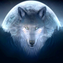 thewolvenspirit avatar