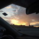 thewolvesofwar avatar