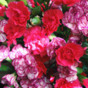 thewonderfulthing avatar