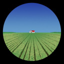 thewordinstantly avatar