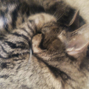 thewordmurder avatar