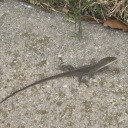 thewordsofapoet avatar