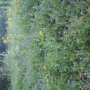 thewordsstop-thewordsflow avatar