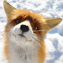 theworld-around-us avatar