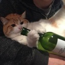 theworld-is-yours avatar