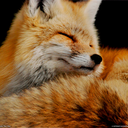 theworld-thatneverwas-blog avatar