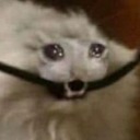 theworldisadumpster avatar