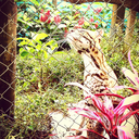 theworldisnotinyourbooks avatar