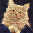 theworldisouroyster-blog avatar