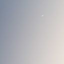 theworldisreflected avatar