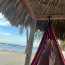 theworldofdreamers avatar