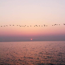 theworldoflurve avatar