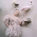 theworldofviolet avatar