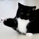 theworldwebandyou avatar