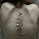 theworldwithoutme avatar