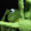 thewrongshoppe avatar