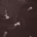 thexdayxtheyxleft avatar