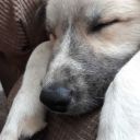 thexploration avatar