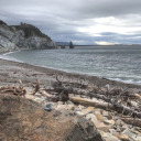 they-dont--understand avatar