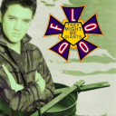 they-might-be-elvis avatar