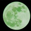 they-reblog-once-in-a-blue-moon avatar