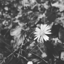 they-were-taken avatar