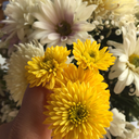 theyareonlywords0 avatar