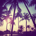 theycallmebitch-bitch avatar