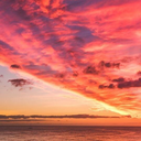 theycallmedif avatar