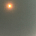 theycallmethecrow avatar