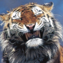 theyclonedtyrone-moved avatar