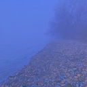 theyesterdaybees avatar