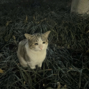 theygotmyusername avatar