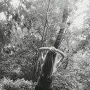 theyll-neverfindme-here avatar