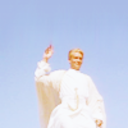 theyllcomeforme avatar